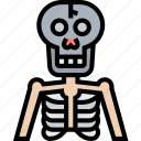 bones, skeleton, human, anatomy, structure