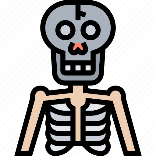 Bones, skeleton, human, anatomy, structure icon - Download on Iconfinder