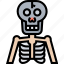 bones, skeleton, human, anatomy, structure 