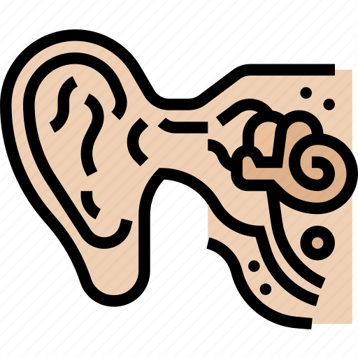 Ear, sensory, structure, organ, health icon - Download on Iconfinder