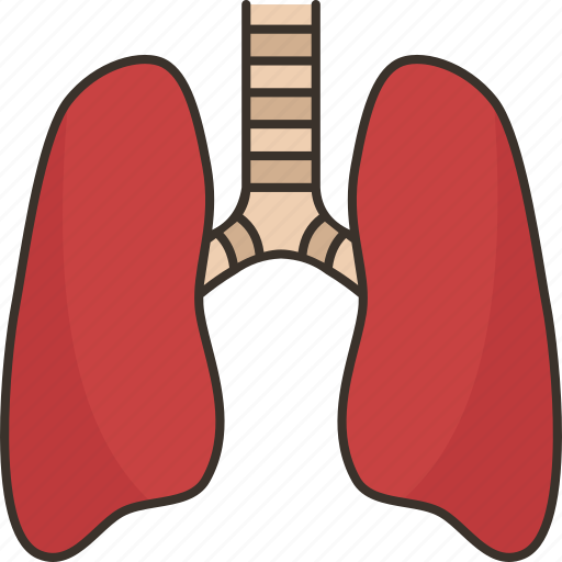 Lungs, bronchial, respiratory, pulmonology, anatomy icon - Download on Iconfinder