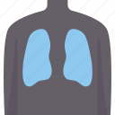 xray, lungs, scan, body, diagnosis