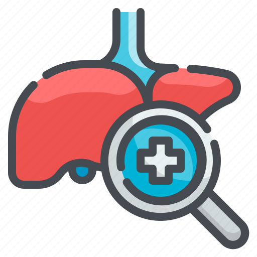 Liver, hepatitis, anatomy, organ, checkup icon - Download on Iconfinder
