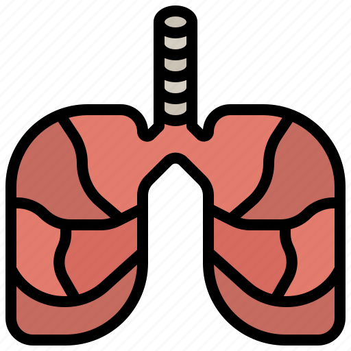 Anatomy, breath, healthcare, lung, lungs, medical, organ icon - Download on Iconfinder