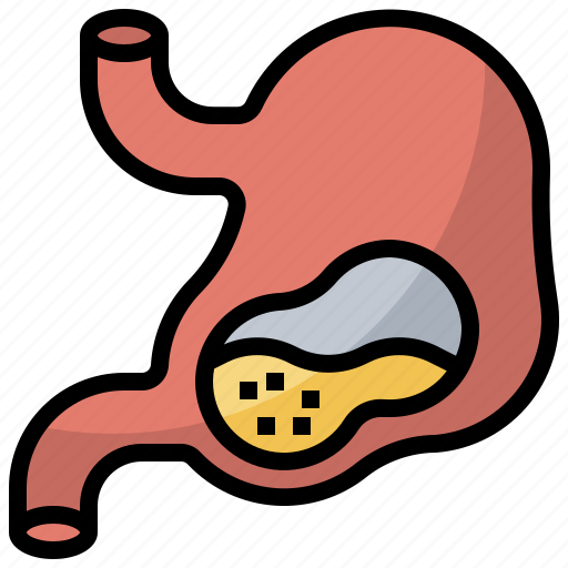 Anatomy, body, healthcare, medical, organ, parts, stomach icon - Download on Iconfinder