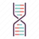 dna, biology, genetic, genome, helix