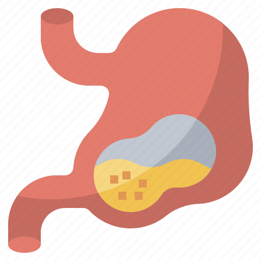 Anatomy, body, healthcare, medical, organ, parts, stomach icon - Download on Iconfinder