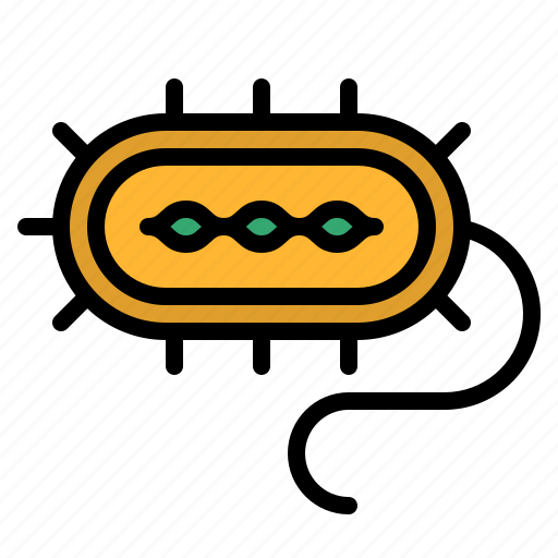Bacteria, biology, cell, disease icon - Download on Iconfinder