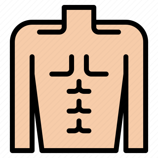 Body, chest, health, human icon - Download on Iconfinder