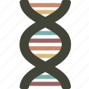 dna, science, genes, genetics