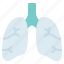 respirator, chemical, protection, respiratory mask, gas, safety, gas mask, biohazard, pollution 