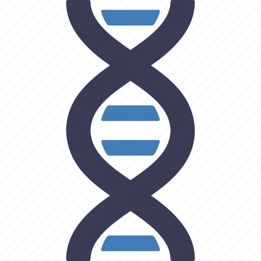 Dna, genetic, structure, biology, medical, chromosome, genetics icon - Download on Iconfinder