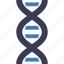 dna, genetic, structure, biology, medical, chromosome, genetics 