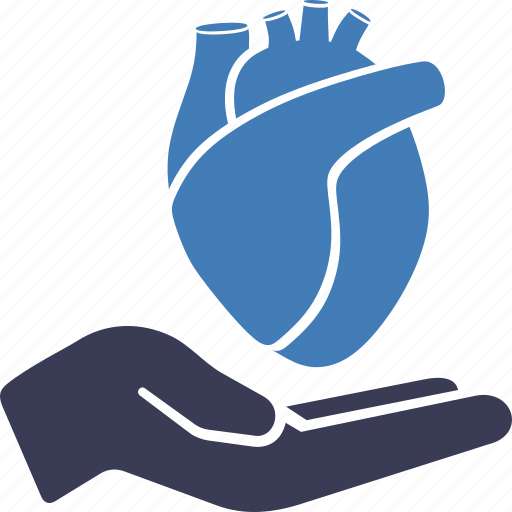 Heart care, hand, heart, hold, elder, human heart, anatomy icon - Download on Iconfinder