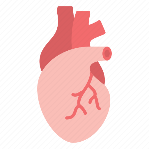 Body part, medical, cardiology, heart, organ icon - Download on Iconfinder