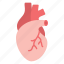 body part, medical, cardiology, heart, organ 