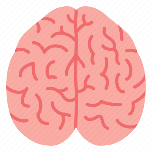 Body part, neurology, head, brain, medical icon - Download on Iconfinder