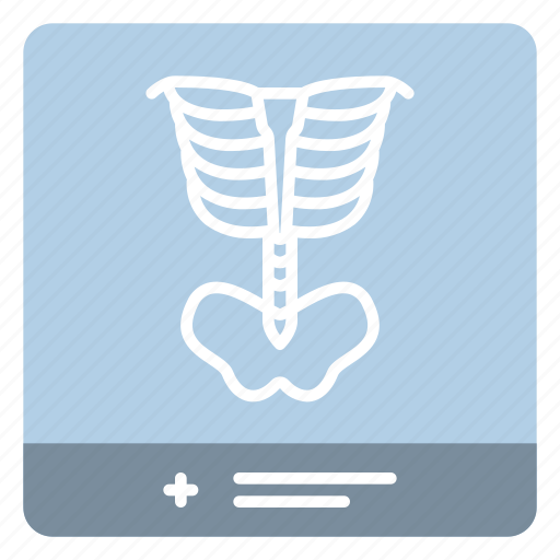 Xray, radiology, skeleton, bones, radioscopy icon - Download on Iconfinder
