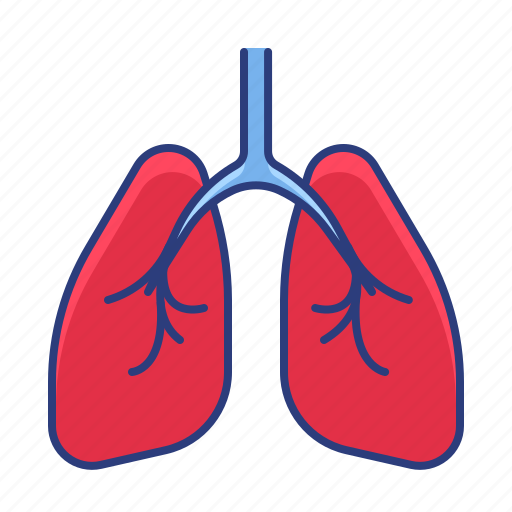 Lungs, organ, pulmonologist icon - Download on Iconfinder
