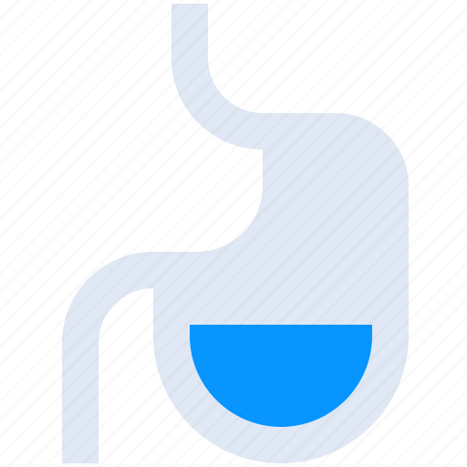 Digestion, entrail, gastric, gastroenterology, organ, stomach icon - Download on Iconfinder