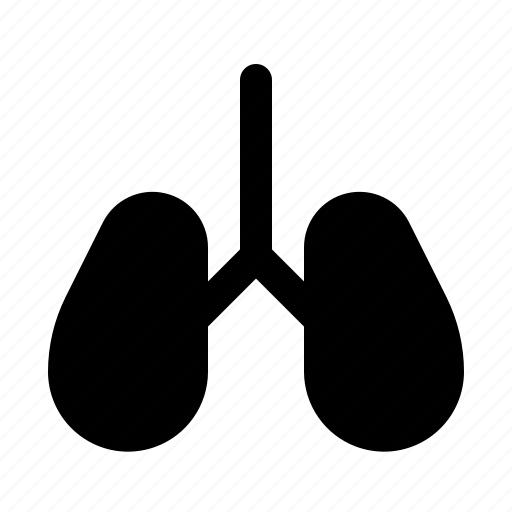 Anatomy, breath, health, healthcare, lungs, medical, oxygen icon - Download on Iconfinder