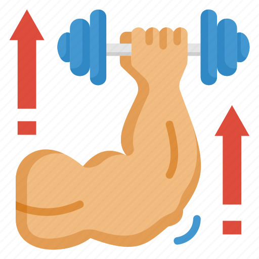 Arm, muscle, strong, training, weight, workout, muscular icon - Download on Iconfinder