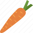 carrot, vegetable, beta, carotene, healthy, vitamin, organic, diet, food