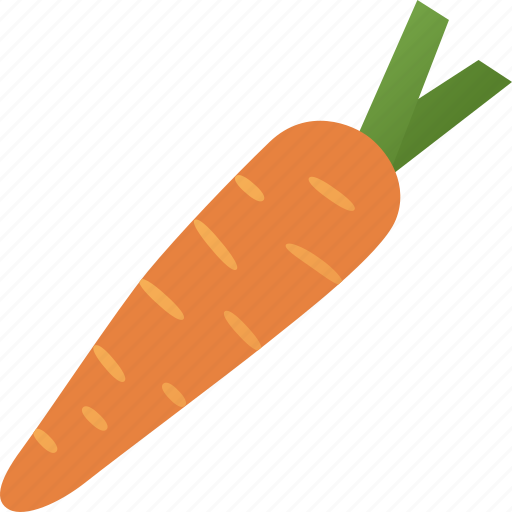 Carrot, vegetable, beta, carotene, healthy, vitamin, organic icon - Download on Iconfinder