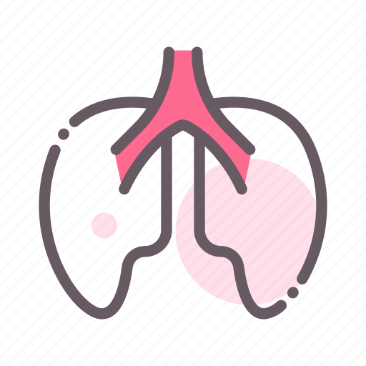 Lungs, medical, health, hospital, heart icon - Download on Iconfinder