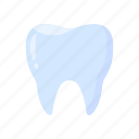 tooth, dental, teeth, dentist