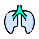 lungs, anatomy, organ, medical, health