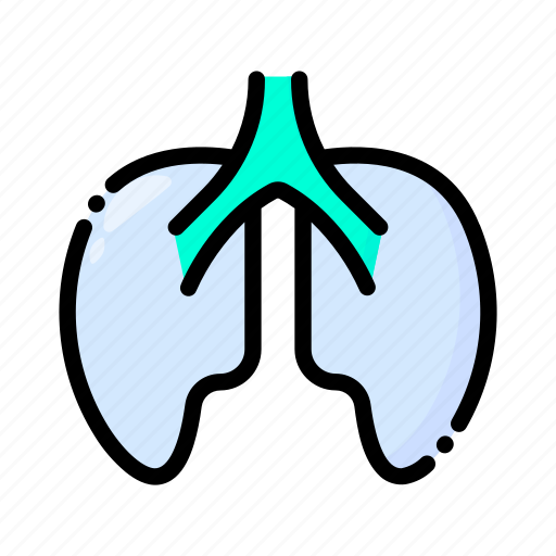 Lungs, anatomy, organ, medical, health icon - Download on Iconfinder