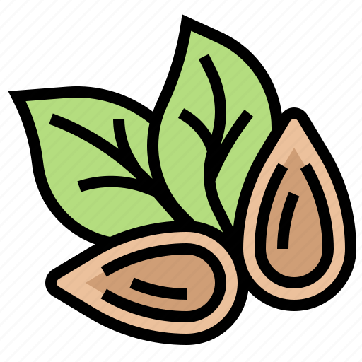 Almond, clean, food, healthy, vegan icon - Download on Iconfinder