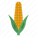 corn, sweet, plant, food, farming