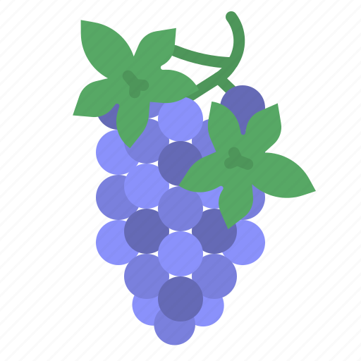 Grape, fruit, nutrition, healthy, food icon - Download on Iconfinder