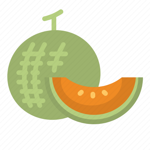 Melon, fruit, nutrition, healthy, cantaloupe icon - Download on Iconfinder