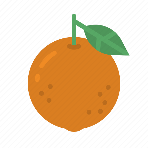 Orange, fruit, nutrition, healthy, food icon - Download on Iconfinder