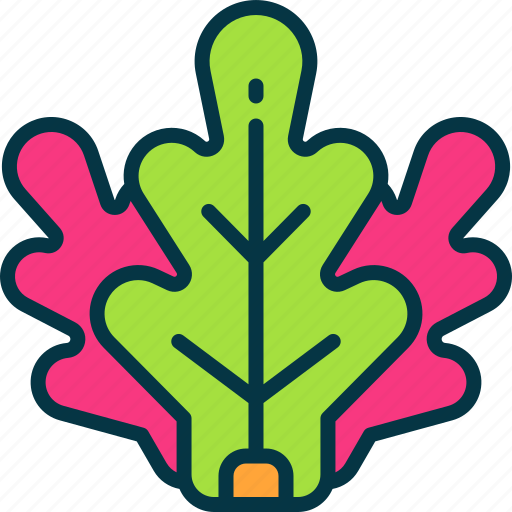 Lettuce, vegetable, healthy, eating, broccoli, cauliflower icon - Download on Iconfinder