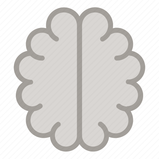 Brain, mind, neuron, medical, intelligence, healthcare icon - Download on Iconfinder
