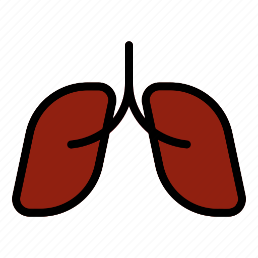 Lugs, health, organ, medicine, respiratory, anatomy icon - Download on Iconfinder