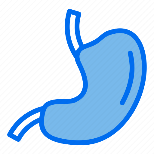 Stomach, organ, medical, medicine, digestion icon - Download on Iconfinder