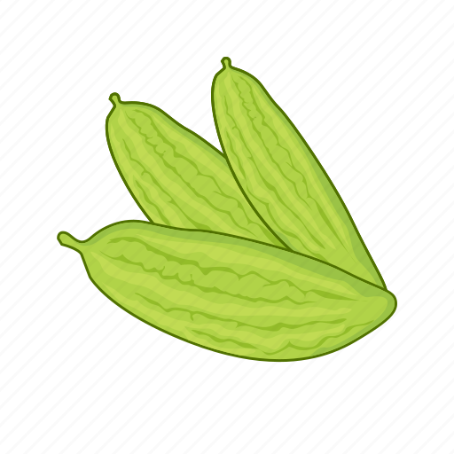 Bitter melon, food, greens, healthy, vegetable icon - Download on Iconfinder