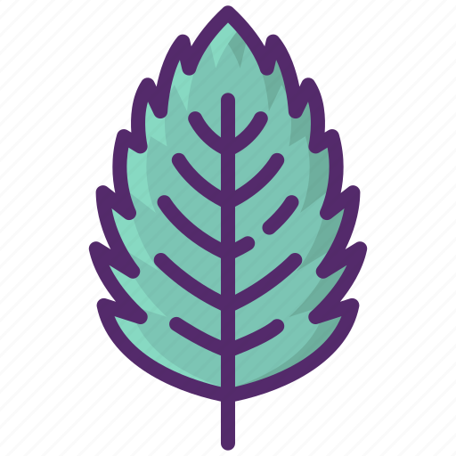 Mint, leaf, peppermint, herbs, plant icon - Download on Iconfinder