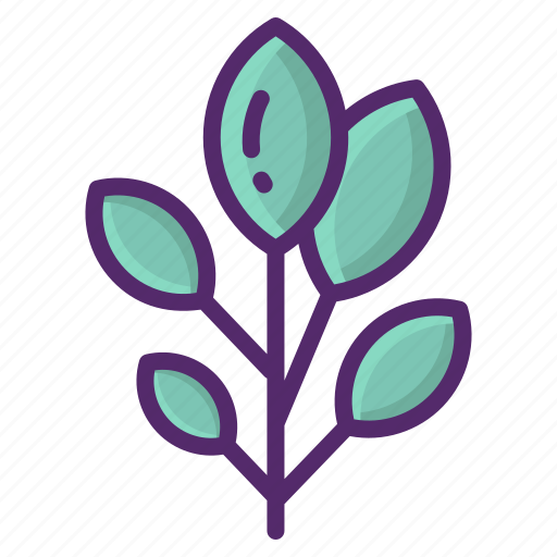 Sage, leaf, green, garden, plant, spices, ingredients icon - Download on Iconfinder