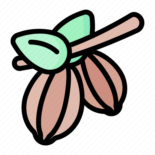 Cocoa, organic, fresh, herb, vegetarian icon - Download on Iconfinder