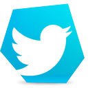 twitter, tweet, bird, social