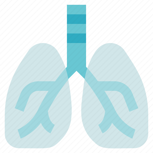 Physiotherapy, breath, lungs, organ icon - Download on Iconfinder