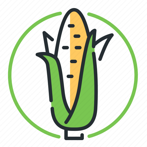 Maize, harvest, corn, food icon - Download on Iconfinder