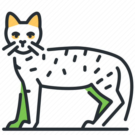 Savannah, pet, cat, kitten icon - Download on Iconfinder