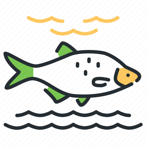 Bream, fish, wildlife, seafood icon - Download on Iconfinder